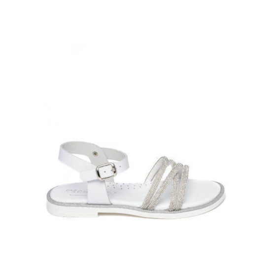 ΠΕΔΙΛΑ SCARPY  AK23-62S ΚΟΡΙΤΣΙ 