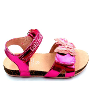 ΠΕΔΙΛΑ LELLI KELLY LK7511 CRISTAL ΚΟΡΙΤΣΙ 