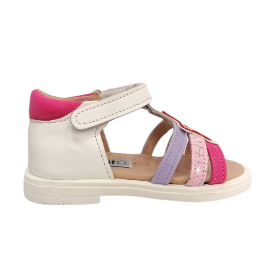 ΠΕΔΙΛΑ ABY 211 ΚΟΡΙΤΣΙ 