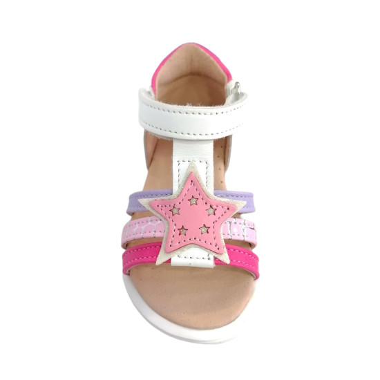 ΠΕΔΙΛΑ ABY 211 ΚΟΡΙΤΣΙ 