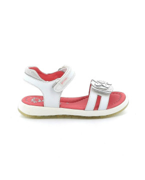 ΠΕΔΙΛΑ GARVALIN 222400 ΚΟΡΙΤΣΙ