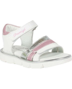 ΠΕΔΙΛΑ PRIMIGI 7413600 ΚΟΡΙΤΣΙ